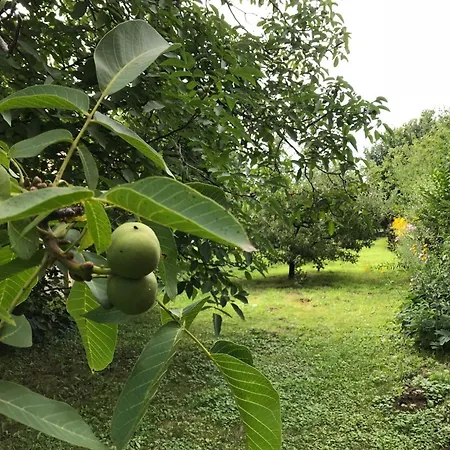 Hungarium Am Platte By Interhome