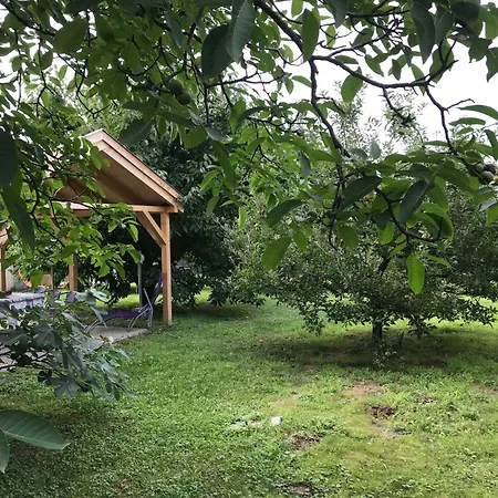 Hungarium Am Platte By Interhome *