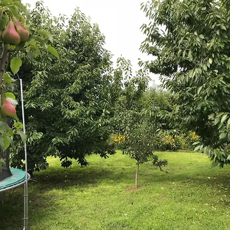 Hungarium Am Platte By Interhome Σπίτι διακοπών