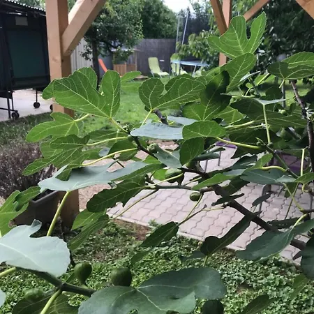 Σπίτι διακοπών Hungarium Am Platte By Interhome *