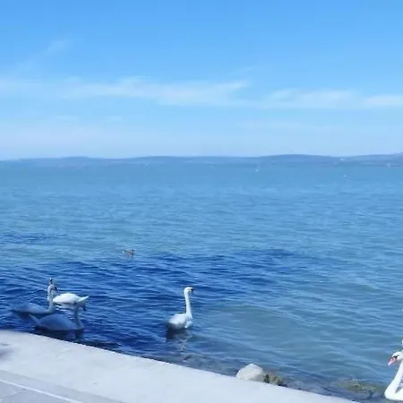 Σπίτι διακοπών Hungarium Am Platte By Interhome