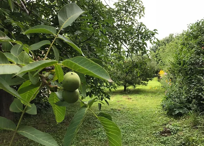 Hungarium Am Platte By Interhome