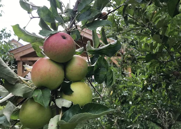 Hungarium Am Platte By Interhome