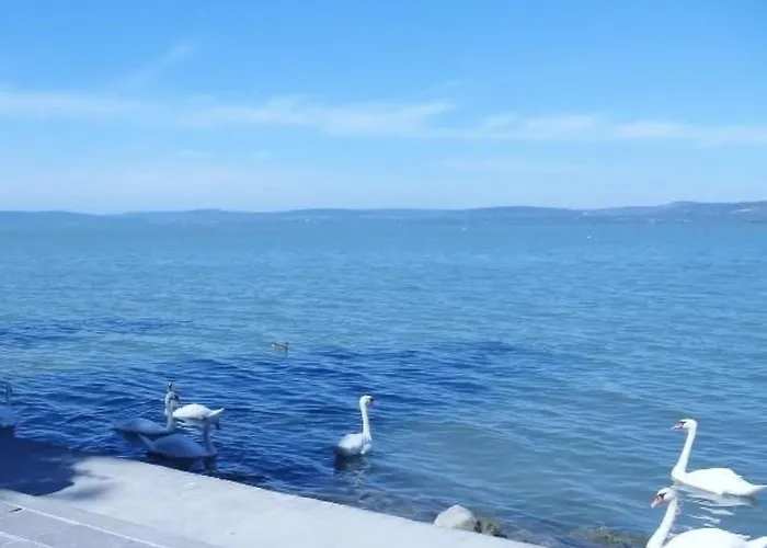 Дом отдыха Hungarium Am Platte By Interhome